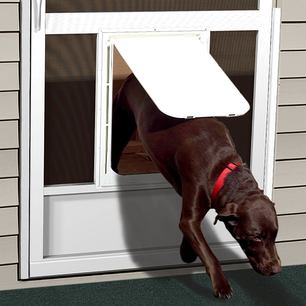 Screen door with fashion large pet door